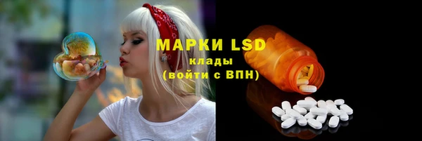 apvp Аша