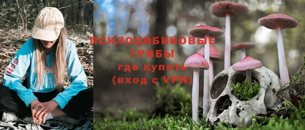 ECSTASY Нея