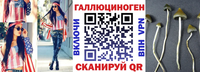 Псилоцибиновые грибы мухоморы  omg зеркало  Ангарск 